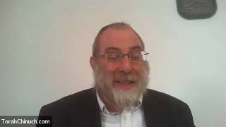 Zera Shimshon - Bamidbar