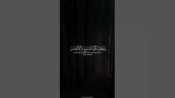 ﴿وَاللَّهُ أَخرَجَكُم مِن بُطونِ أُمَّهاتِكُم لا تَعلَمونَ شَيئًا.. ﴾ | سورة النحل | الشيخ المنشاوي