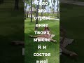 14 июня 2025 г.