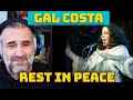 RIP Gal Costa - Força Estranha  TRIBUTO REACTION