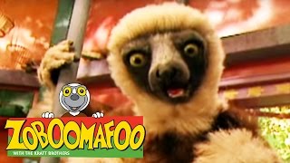 🐒 Zoboomafoo 🐒 101 | The Nose Knows - Full Episode | Kids TV Shows