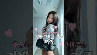 곰송이 GOMSONGYI 영상