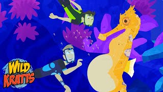 You Won't Believe What Seahorse Dads Can Do! | Father's Day | Animals for Kids | Wild Kratts