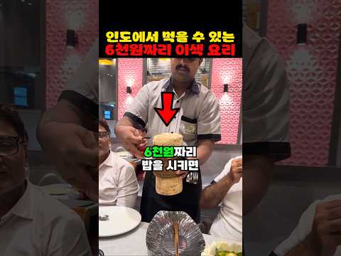인도에서 먹을 수 있는 6천원짜리 이색 요리 thumbnail