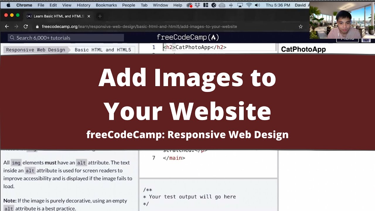 Add Images to Your Website (Basic HTML and HTML5) freeCodeCamp Tutorial ...