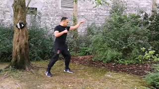 Wan Kam Leung Practical Wing Chun (France) - Sifu Lee Teck Meng - combat program training