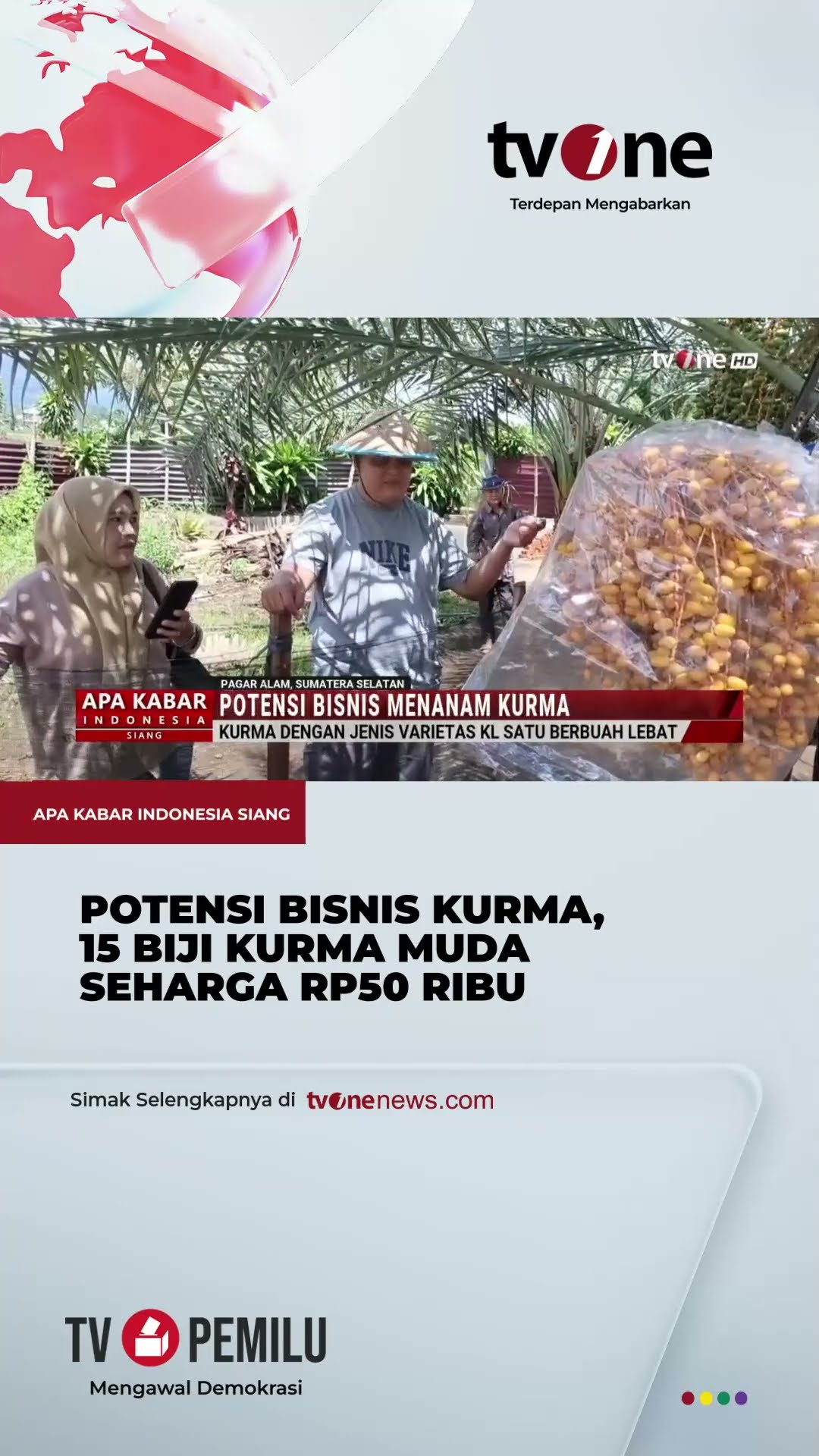 Pohon Kurma KL Satu Berbuah Lebat di Pagar Alam | tvOne