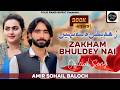 Zakham Song Amir Sohail Bloch Dukhi Song Zakham Bhul Dey Nai New Song 2026 Saraiki Song 