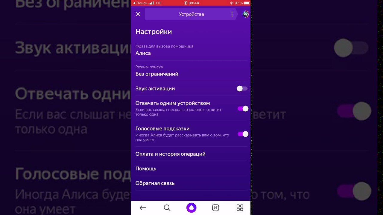 Как на алисе включить поиск без ограничений