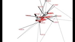 Online Network Data Animation News