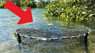 DID NOT EXPECT THIS! | MUD CRABBING JUMPINPIN