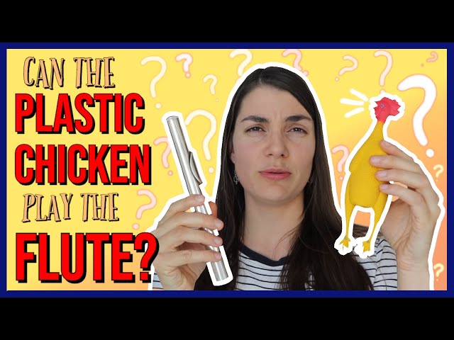 Can a plastic chicken play the flute? class=