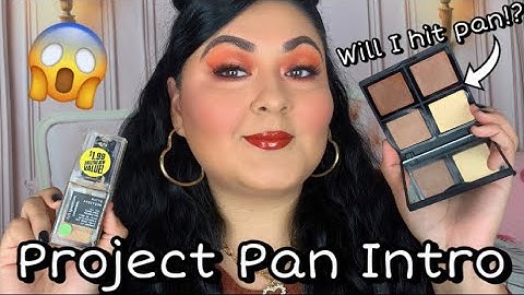 2022 PROJECT PAN INTRO // YEAR LONG ROLLING PROJECT 5 PAN!✨