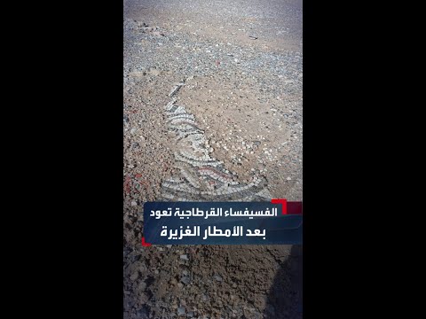 بعد الأمطار الغزيرة فسيفساء أثرية تظهر على الطريق العام بالهوارية