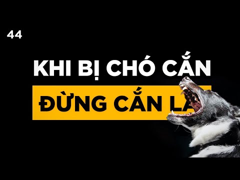 Video: Làm thế nào để nói với một nữ hay nam Cricket