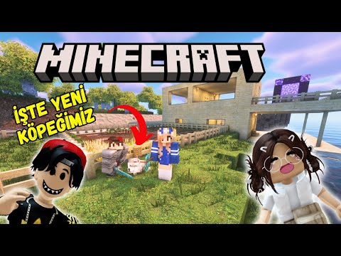 ⛏️MINECRAFT ABİM EVE KÖPEK ALDI🤣AYŞEM ECE ARI💥ARIGİLLER🐝MINECRAFT RP