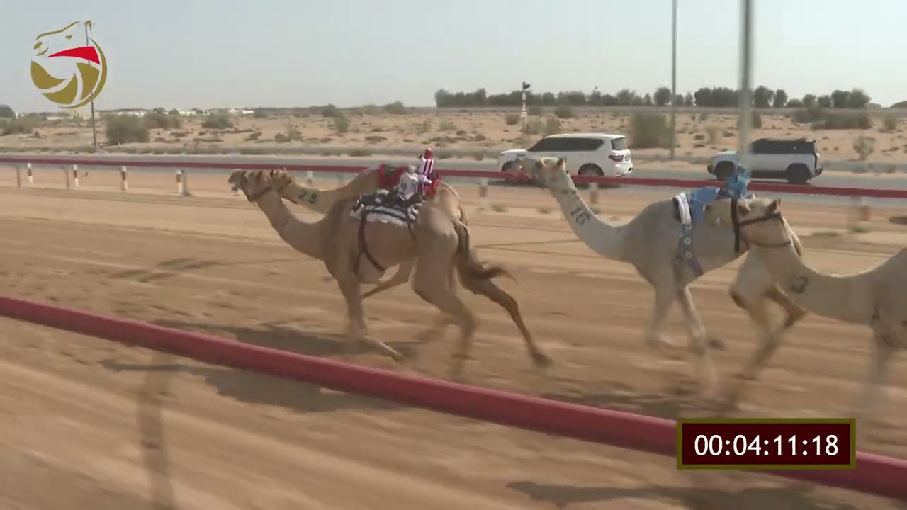 سباق الإيذاع – لهباب 03-03-2026 ش4 مشجي لـ الشيخ حمدان بن محمد بن راشد آل مكتوم 7:41