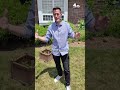 Who keeps vandalizing Pride flags in a New Jersey town? | NBC New York