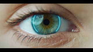 Meet The World Yazaki