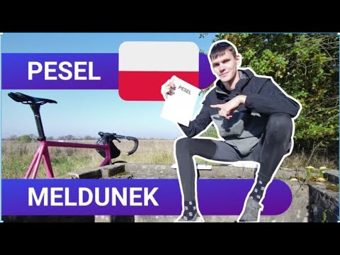 Как получить PESEL и meldunek? Личный опыт 2020