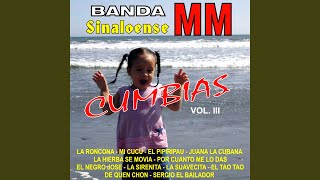 Video thumbnail of "Banda Sinaloense MM - La Hierba Se Movía"