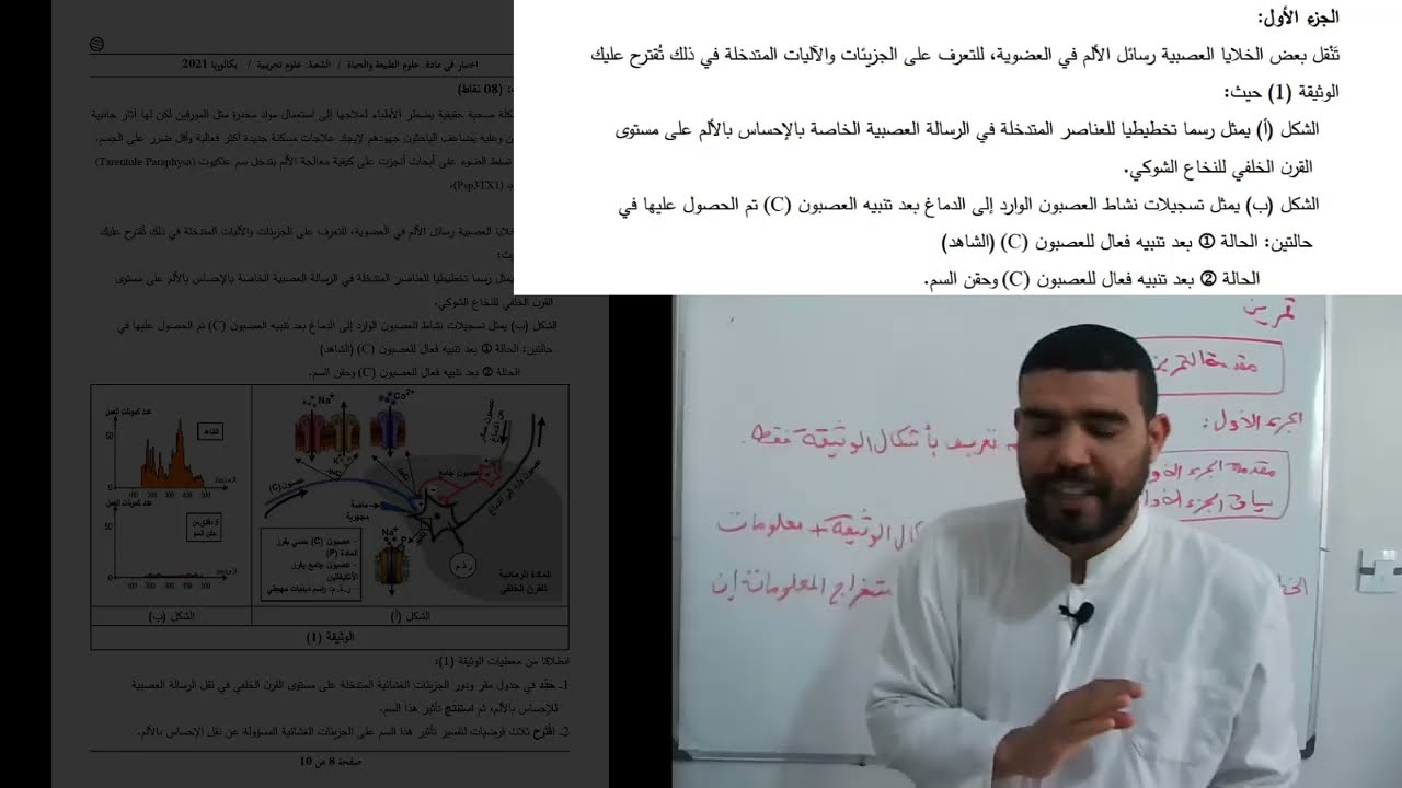 حل تمرين 3 أجزاء سم العنكبوت الخطوة 02