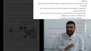 حل تمرين 3 أجزاء سم العنكبوت الخطوة 02