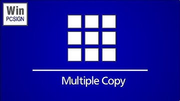 WinPCSIGN Tutorial - Multiple copies