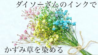 【染色】レジン封入用かすみ草をカラフルに染めます#レジン#ハンドメイド#ドライフラワー