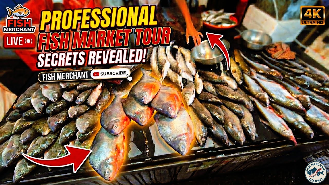 Fish cutting skills by expert cutter 🔥😱 | 