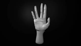 Hand rigging & motion test #1