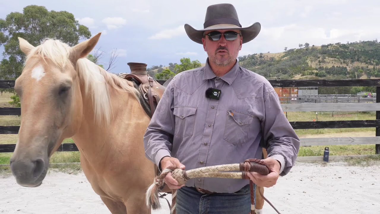 How to tie and set up the Hackamore/Bosal