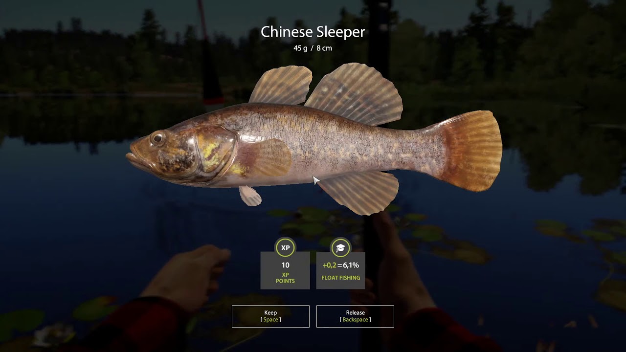 Russian Fishing 4 Gameplay | Bait fishing 