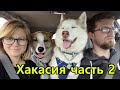 Хакасия  часть 2.  Виды, коровы, красоты.