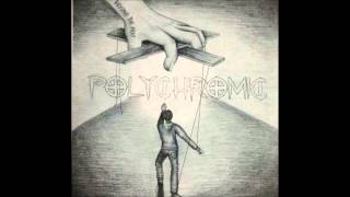 Polychromic- Fly Studio