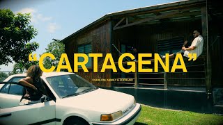 CSHALOM & Anmily - CARTAGENA (Visualizer Oficial)