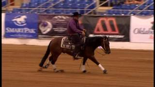 Dun Its Code - 2011 Gelding - (Electric Code x Dun Its Deja Vu)