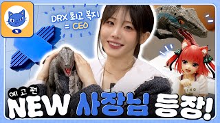Download Lagu DRX 새로운 명예 사장님 등장! 😎 | ㅅㅈㄴㅇ 예고편 MP3
