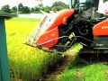 稲刈り、田んぼに入る時は慎重です　クボタコンバインKUBOTA Combine ARN698