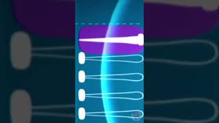 Littlebigplanet Interactive Music