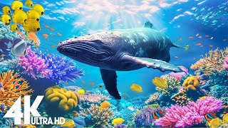 Ocean 4K - Sea Animals for Relaxation, Beautiful Coral Reef Fish in Aquarium - 4K Video Ultra HD