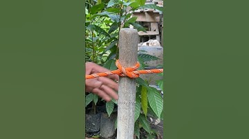 Simple Hitch✅✅ #knot #how #shortvideo #trending #rope #ropeknots #diy #creative #outdoors