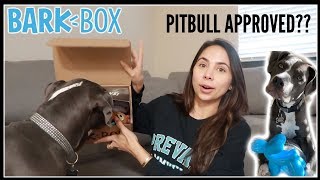 pitbull barkbox
