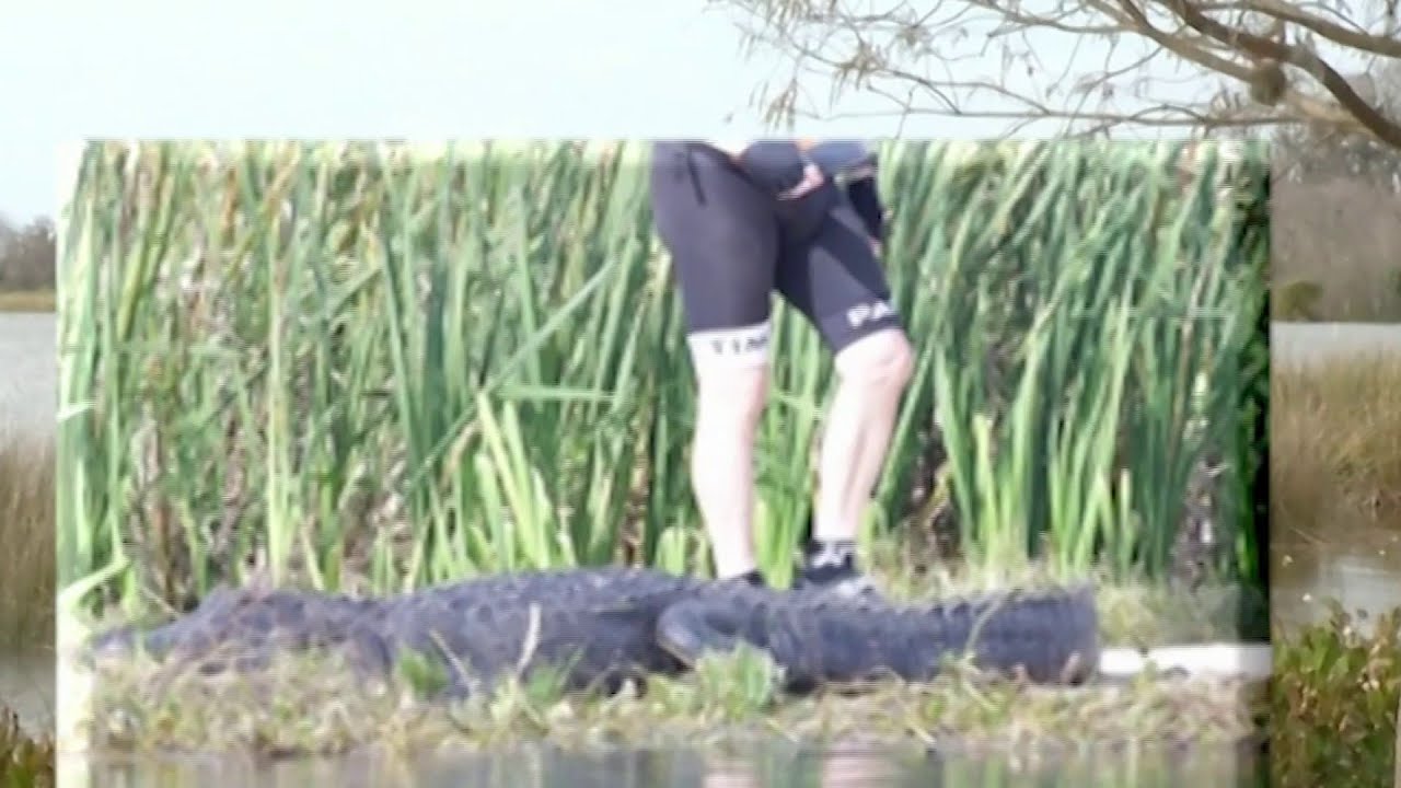 Woman says she saw man kick gator YouTube