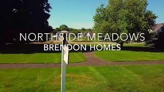 Northside Meadow