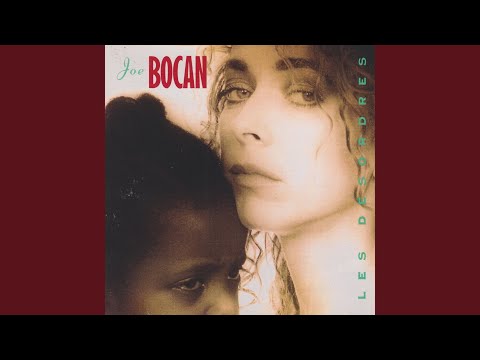 Joe Bocan — Les désordres