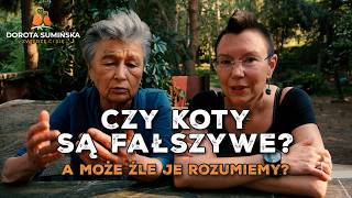 Czy koty są fałszywe?