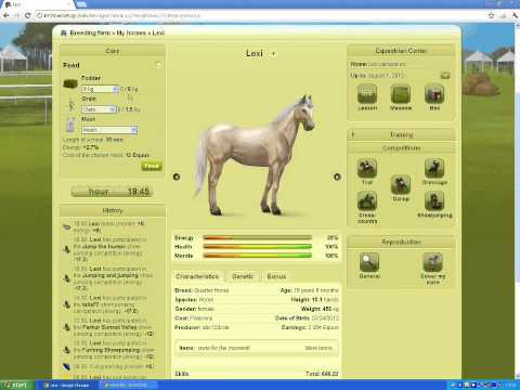 Comment prendre soin d'un cheval sur Equideow tasse