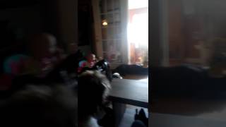 Famous Baby love snacks or dogs? Wealth