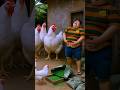 Capture de la vidéo Mau Ayam Goreng🍗 Jumbo, Eh Malah Jadi T-Rex🤣